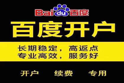 成功案例解析：SEM竞价员策略